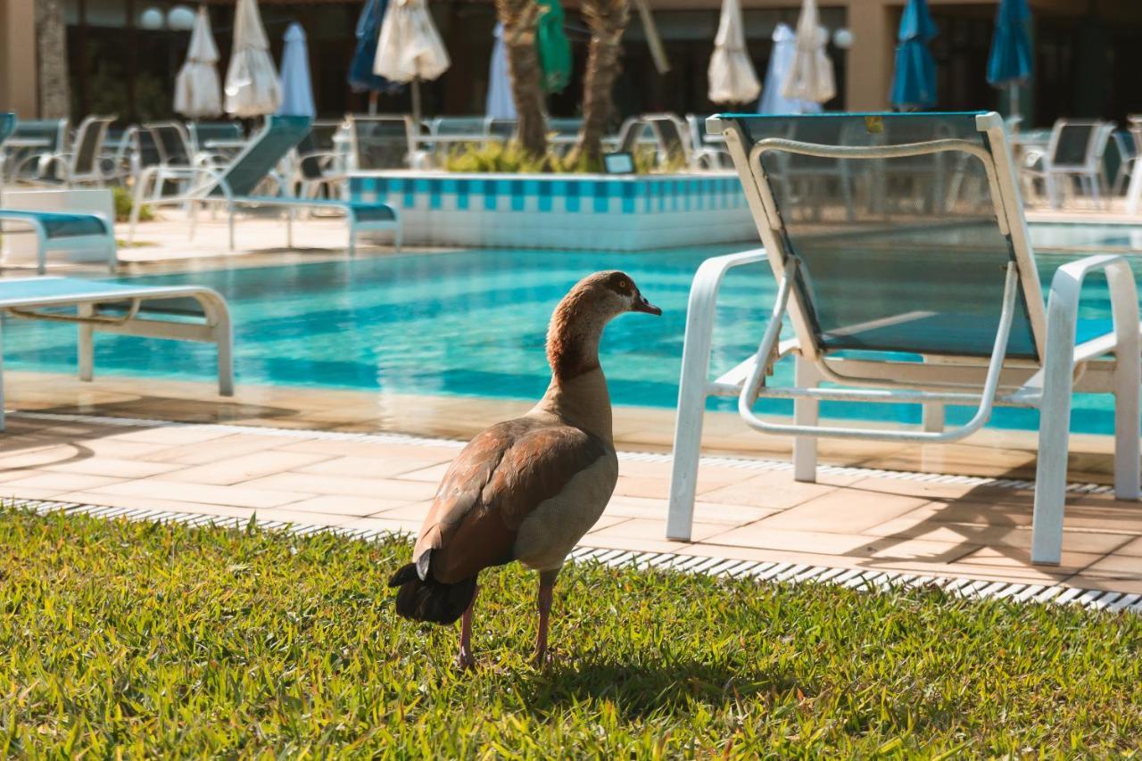 Villa Itaipava Resort & Conventions מראה חיצוני תמונה
